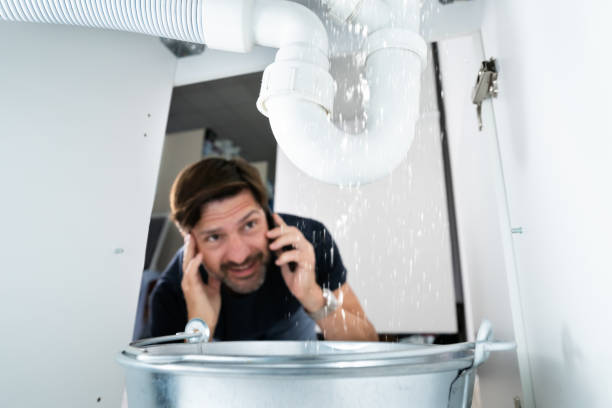 Best Plumbing Services Near Me  in Pebble Creek, FL